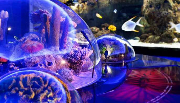 آکواریوم استانبول (Istanbul Aquarium)